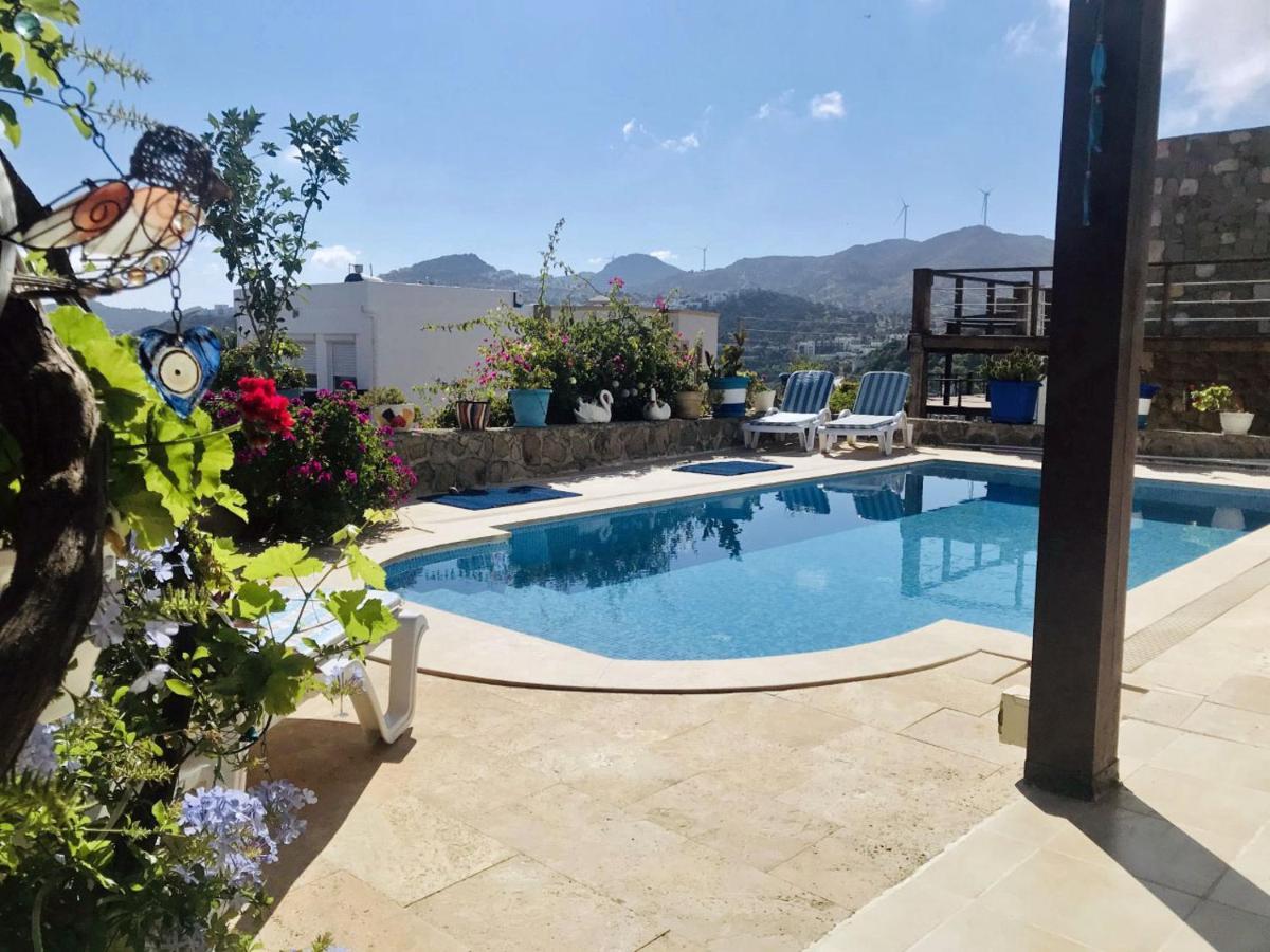 Villa Priene - Gumusluk Private Pool מראה חיצוני תמונה